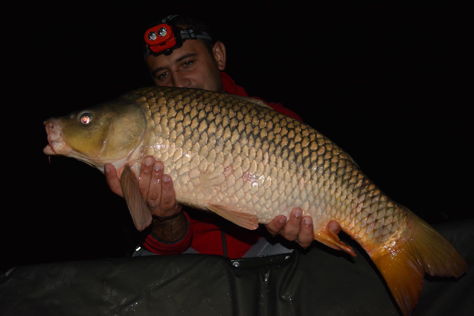 Hermes Peris 22-24.08.15 - dsc0139.JPG